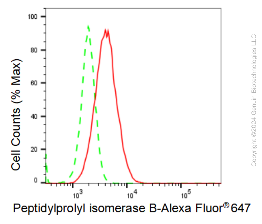 FC - KD-Validated Anti-Peptidylprolyl isomerase B Rabbit Monoclonal Antibody AGI1006